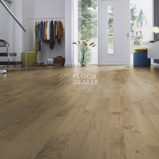 Kronotex Dynamic Plus d4953 Дуб Плау фото 3 | FLOORDEALER